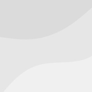 Εξαιρετικό Παρθένο Ελαιόλαδο 1L  Κορωνέικη Ποικιλία | Πετρίνα Λακωνίας